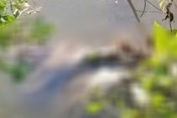 Thông tin nhói lòng vụ nữ sinh lớp 7 ở Cà Mau bị sát hại