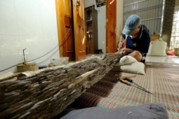 Phát hiện khúc trầm tốc bông tự nhiên tiền tỷ ở Hà Tĩnh