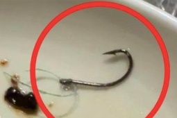 Khách phát hiện lưỡi câu trong đồ ăn, nhà hàng miễn hóa đơn hơn 22 triệu đồng