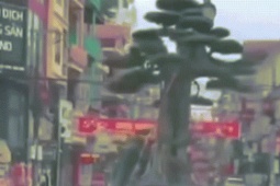 Cảnh sát xác định danh tính tài xế chở người và cây 'khủng' ở Ninh Bình