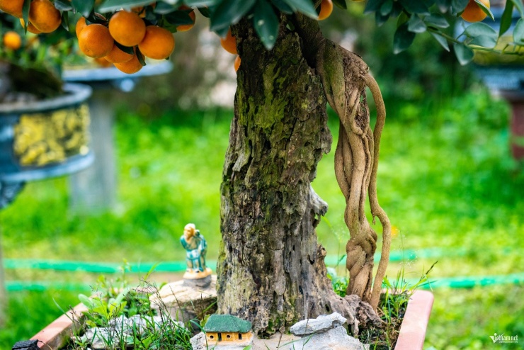 Tác phẩm "Phu thê hòa hợp" với thế cây thân hình người con gái dựa vào người đàn ông. Không chỉ quất cảnh Tứ Liên, trước đây nhiều nghệ nhân bonsai Việt Nam thường tạo ra những tác phẩm độc đáo, kết hợp sự uyển chuyển của thân cây, quả, lá để hiện thực hóa hình ảnh đôi vợ chồng, thể hiện mong ước về gia đình ấm êm, viên mãn.