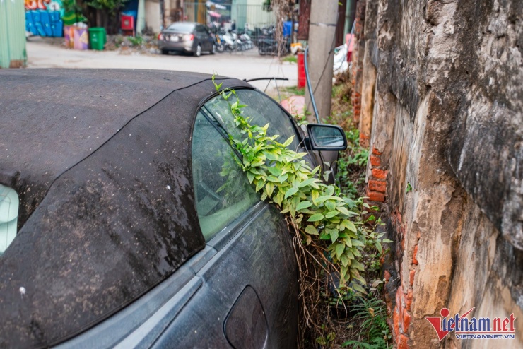 Xung quanh xe, cây cỏ mọc um tùm và bám vào thân xe. Tuy nhiên, đây là khu vực gần nhà thi đấu thể thao nên thường xuyên được dọn dẹp, cắt bớt cỏ.