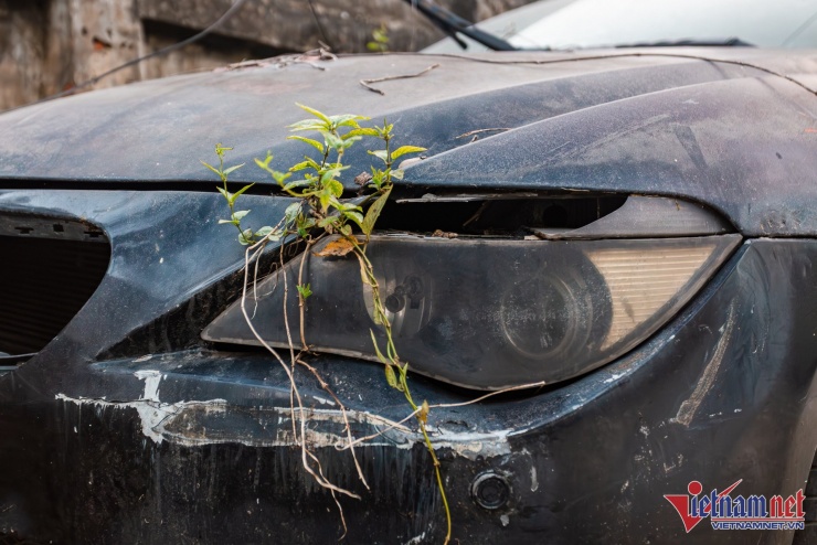 Cặp đèn chiếu sáng tuy không bị mất nhưng mặt kính đã vỡ, xuống cấp nghiêm trọng. Cụm đèn bên phía người lái có cây cỏ mọc ra từ bên trong.