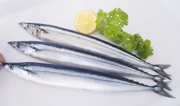 Loại cá chứa nhiều omega-3 hơn cá hồi, hỗ trợ hạ đường huyết, có chất phòng ung thư: Người Nhật cực thích, có sẵn ở Việt Nam - 5