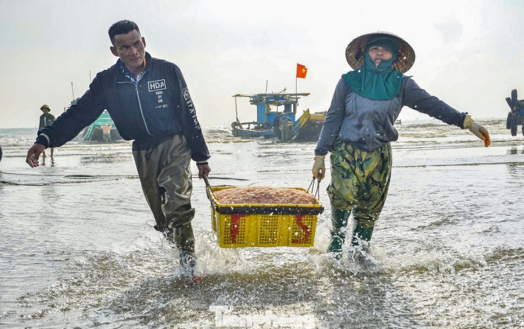 Những ngày này, tại các làng chài ven biển như: Tiên Trang, Quảng Bình, Nam Sầm Sơn... (tỉnh Thanh Hóa), khi tiết trời nắng ấm dần sau đợt mưa rét, những chiếc bè mảng, thuyền nhỏ của ngư dân lại rẽ sóng vươn khơi. Theo người dân địa phương, ngư dân các vùng biển bãi ngang nơi đây thường đánh bắt gần bờ, săn các loài hải sản như ruốc biển, mực, ghẹ, tôm...