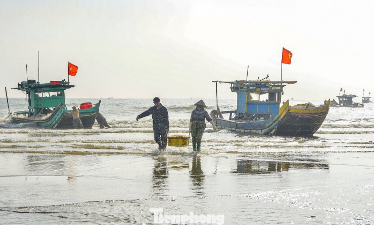 Ngư dân Thanh Hóa vươn khơi thu 'lộc biển' ngày đầu năm - 1
