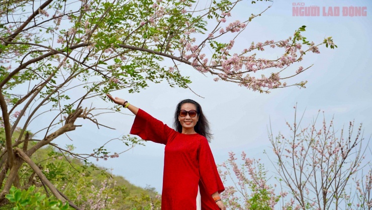 Hoa đỗ mai nở rộ hút hồn du khách đến với Vũng Tàu - 10