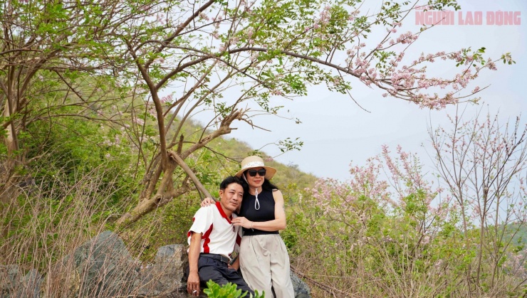 Hoa đỗ mai nở rộ hút hồn du khách đến với Vũng Tàu - 11