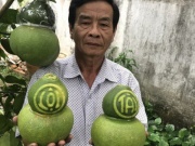 Thị trường Tết không còn mặn mà với trái cây "độc, lạ"?