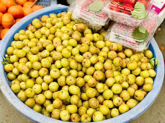 Me rừng, còn được gọi là mắc kham hay chùm ruột núi, vốn mọc hoang nhiều ở các khu rừng, nương rẫy vùng núi phía Bắc, Tây Nguyên hay dọc dãy Trường Sơn.