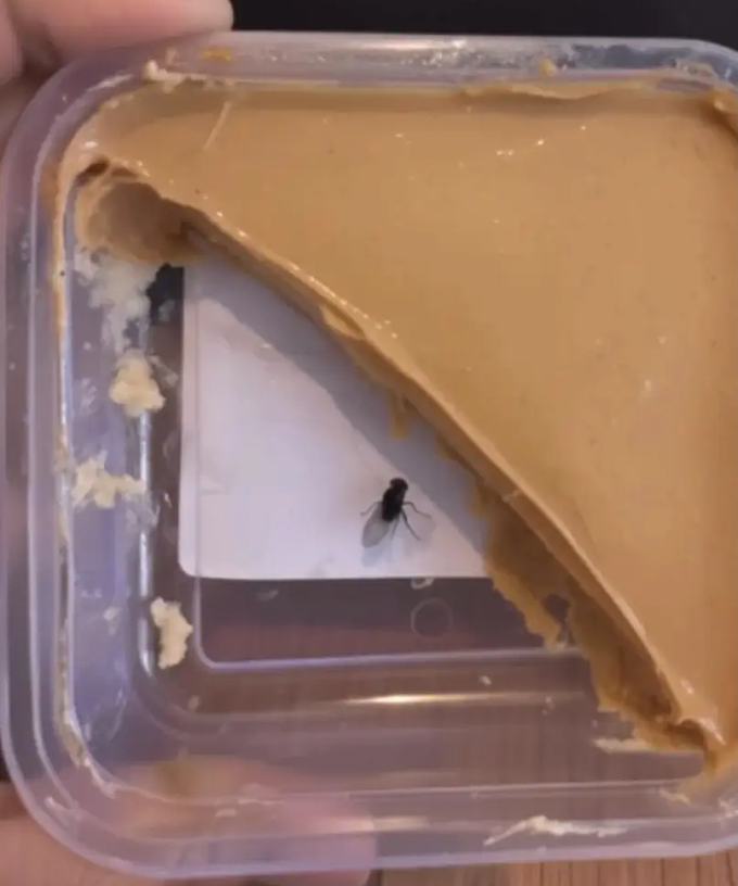 Bức ảnh chiếc bánh ngọt được AI "thêm" con ruồi vào giữa. Ảnh: Facebook/Nini's Kitchen