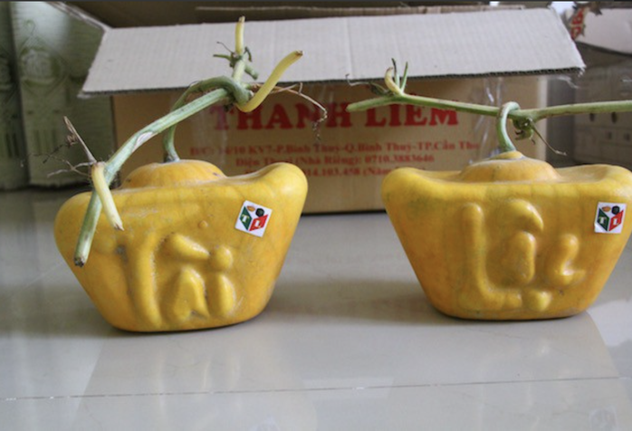 Dưa hấu thỏi vàng từng có giá vài triệu đồng/cặp