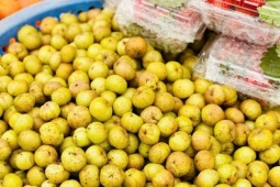 Loại quả rừng vị “khổ trước sướng sau” bất ngờ thành món đặc sản được nhiều người “săn đón”