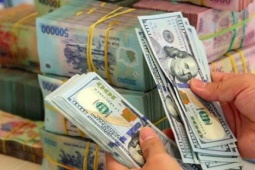 Mua bán ngoại tệ “chui” từ 1.000 USD trở lên: Cá nhân có thể bị tịch thu tiền, phạt nặng