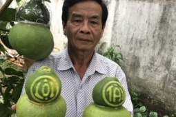 Thị trường Tết không còn mặn mà với trái cây "độc, lạ"?