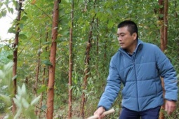 15 năm ròng rã trồng 18ha rừng đẹp như phim, chả mấy mà anh nông dân Lạng Sơn này cầm cục tiền to bự 10 con số