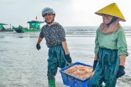 Ngư dân Thanh Hóa vươn khơi thu 'lộc biển' ngày đầu năm