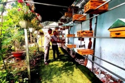 Rộ lên mô hình nuôi con vật bé tí này ở TPHCM mới, tối ngày làm ra loại nước sền sệt bổ dưỡng, gần Tết bán hút hàng