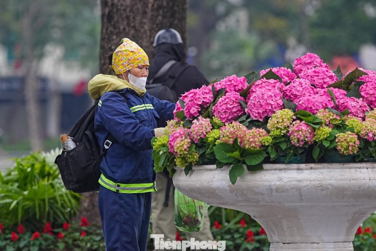 Công nhân chăm sóc bồn hoa dưới cái lạnh 14 độ C.