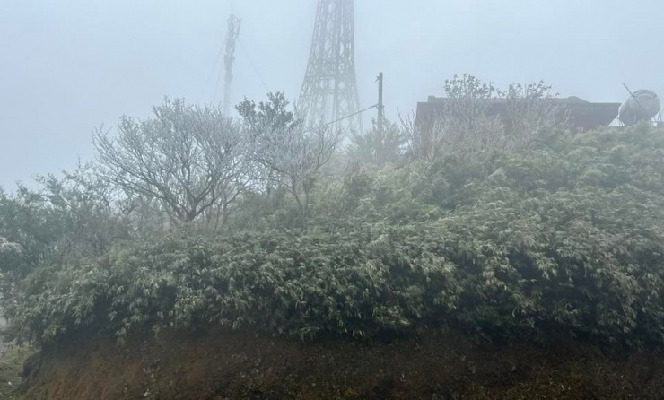 Xuất hiện băng giá trên đỉnh núi ở Cao Bằng - 3