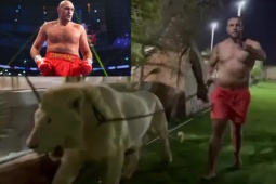 Võ sĩ "đạn bắn không chết", dắt sư tử đi dạo rồi thách đấu "Vua giang hồ" Fury