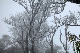 Băng giá xuất hiện ở Cao Bằng