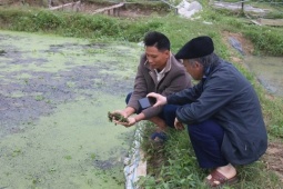 Con vật thịt giòn ngọt này nuôi chả tốn một xu tiền cám nào, "ủ ấm" qua mùa đông, nông dân này ở Thanh Hóa bán là trúng