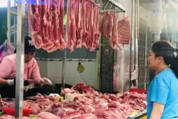 Hơn 1,2 triệu con lợn bị chết, giá thịt biến động ra sao dịp Tết?