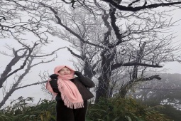 Xuất hiện băng giá trên đỉnh núi ở Cao Bằng