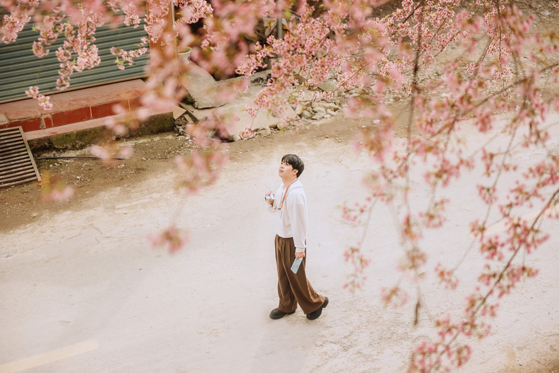 Du khách nên chọn trang phục có tông màu sáng, nổi bật để có những bức hình đẹp với hoa mai anh đào&nbsp;