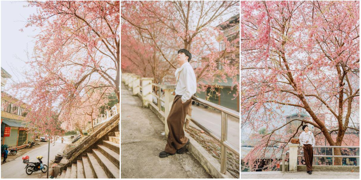 Khách Hà Nội vượt lạnh, di chuyển hơn 400km đến Tuyên Quang ngắm hoa mai anh đào - 5