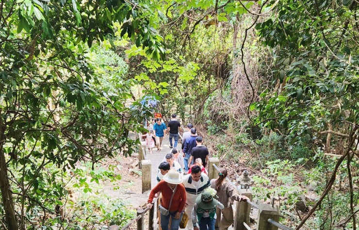 Chạy quanh Côn Đảo ngắm hoa anh đào và săn máy bay tại Bãi Đầm Trầu - 10