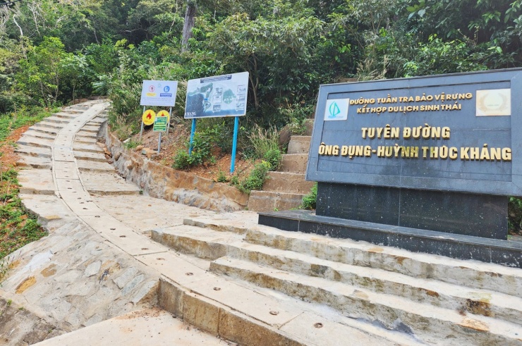 Chạy quanh Côn Đảo ngắm hoa anh đào và săn máy bay tại Bãi Đầm Trầu - 17