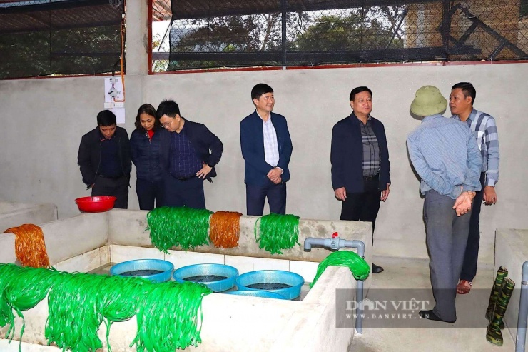 Ở nơi này của Hà Tĩnh, hễ nhà nào làm chuồng nuôi con đặc sản "ham tụ tập" dày đặc này là nhà giàu - 3