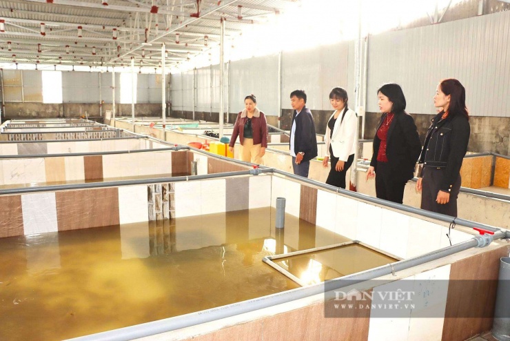 Đoàn tham quan mô hình nuôi lươn không bùn của gia đình&nbsp;ông Võ Đình Quang, thôn Thạch Thành, xã Đức Thọ, Hà Tĩnh.