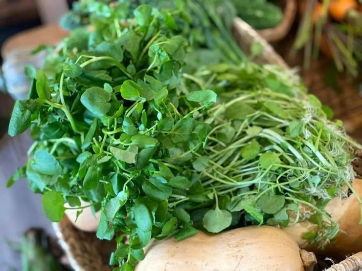 Loại rau chỉ 10 nghìn đồng/bó ở chợ Việt, được thế giới tôn vinh, có khả năng hỗ trợ phòng ung thư, chế biến thành nhiều món ngon - 3