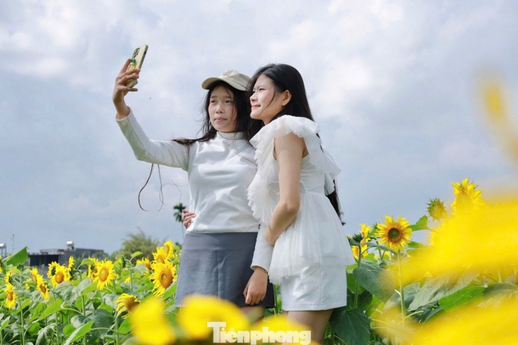 Bạn Cao Thị Dương Nhiên (20 tuổi, trú phường Cẩm Thành, tỉnh Quảng Ngãi) cho biết, đã cùng bạn bè đến vườn hoa từ sáng sớm. Buổi sáng hoa tươi, ánh sáng đẹp nên chụp ảnh rất “ăn hình”. Mỗi góc đều có thể tạo dáng, chỉ cần đứng vào là có ảnh đẹp.