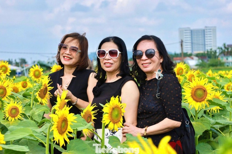 Bà Nguyễn Thị Bảy (65 tuổi, trú xã An Phú) cho biết, đã cùng người thân đến đây dạo chơi. Lâu rồi địa phương mới có chỗ nhiều hoa, rộng và đẹp như vậy. Hoa nở vàng rực, đi một vòng thấy tinh thần thoải mái hơn hẳn.