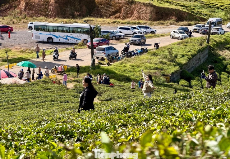 Trong tiết trời se lạnh của cao nguyên, đồi chè Cầu Đất ở phường Xuân Trường - Đà Lạt, tỉnh Lâm Đồng không chỉ thu hút du khách mọi lứa tuổi mà đặc biệt trở thành điểm hẹn yêu thích của giới trẻ mê "sống ảo".