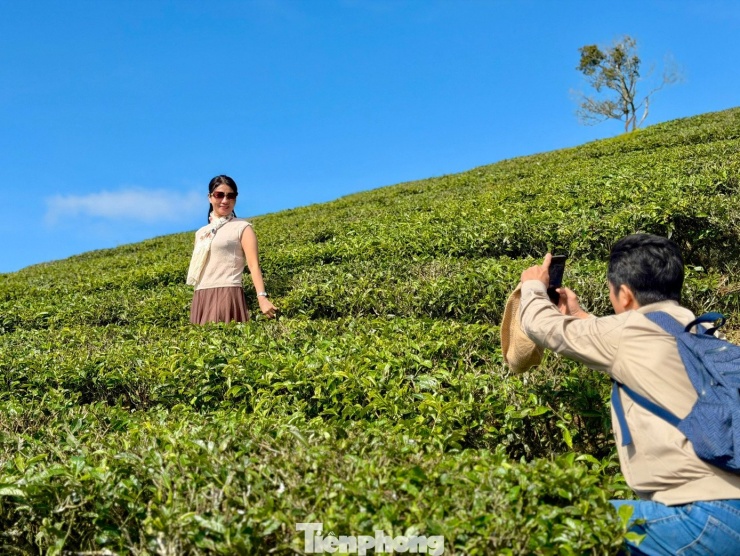 Đứng giữa đồi chè, nơi đây trở thành phông nền check-in lý tưởng miền cao nguyên.