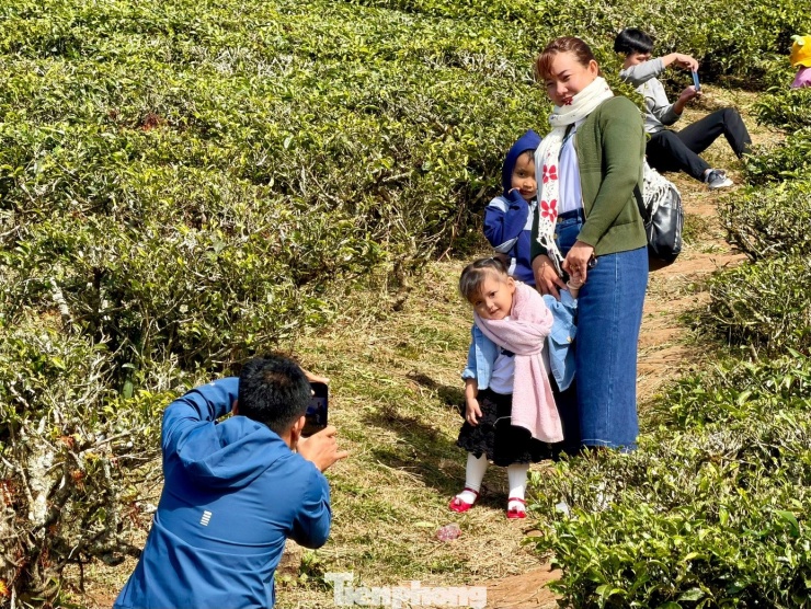 Giới trẻ nườm nượp check-in đồi chè Cầu Đất - 7