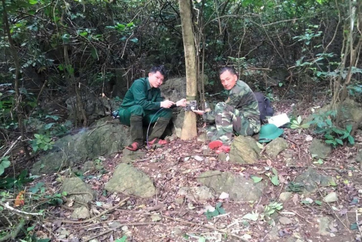 Đặt bẫy ảnh ghi lại hoạt động của nhiều loài động vật quý hiếm trong rừng ở Ninh Bình.