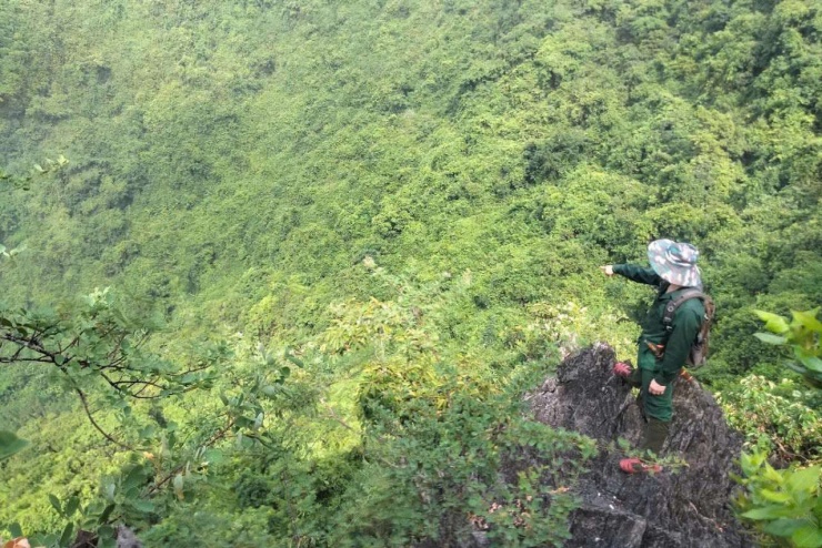 Khu rừng xã Đồng Thái, nơi được phát hiện có nhiều loài động vật hoang dã, quý hiếm. Ảnh: Thanh Phương