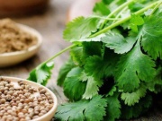 5 loại thực phẩm giúp thận lọc độc tố hiệu quả