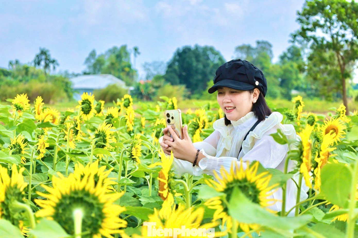 Nhiều gia đình đưa cháu nhỏ đi check-in, chụp hình.