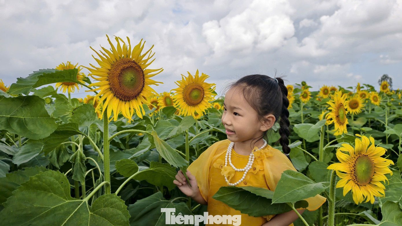 Nhiều gia đình đưa cháu nhỏ đi check-in, chụp hình.