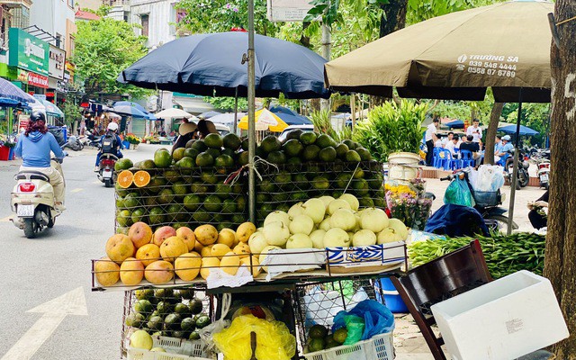 Cam sành là một trong những loại cam Việt được nhiều người tiêu dùng ưa chuộng.