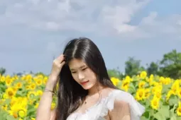 'Lạc lối' ở cánh đồng triệu bông hoa hướng dương bừng nở tại Quảng Ngãi