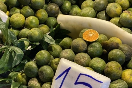 Tiểu thương lý giải nguyên nhân giá cam sành rẻ bất ngờ, giá chỉ vài nghìn đồng/kg