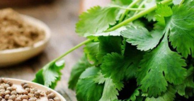 5 loại thực phẩm giúp thận lọc độc tố hiệu quả